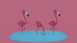 Fin the Flamingo