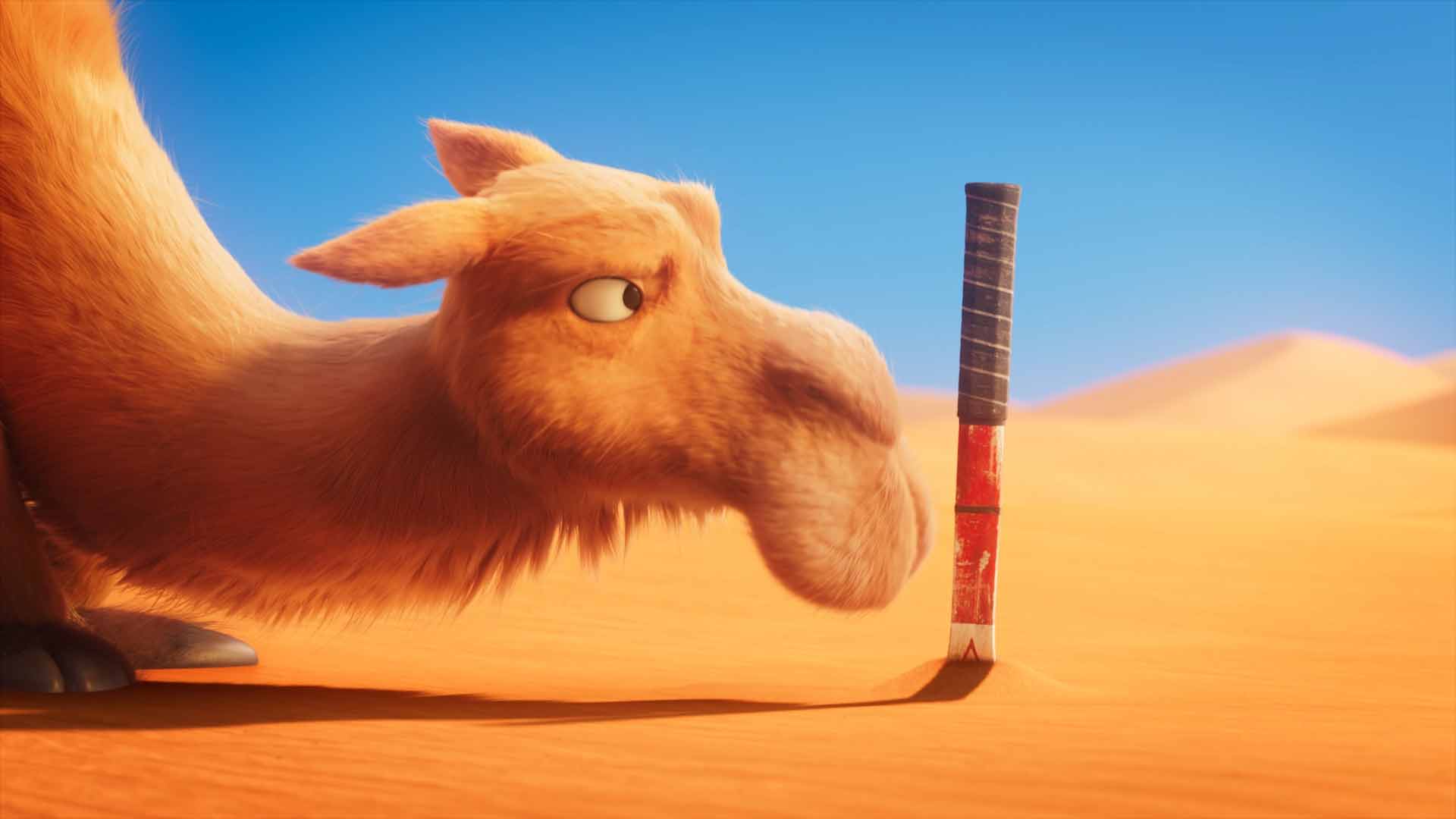 Bild aus einem Film zeigt ein Kamel in der Wüste